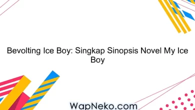 Bevolting Ice Boy: Singkap Sinopsis Novel My Ice Boy