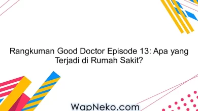 Rangkuman Good Doctor Episode 13: Apa yang Terjadi di Rumah Sakit?