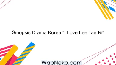 Sinopsis Drama Korea "I Love Lee Tae Ri"
