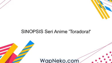 SINOPSIS Seri Anime 'Toradora!'