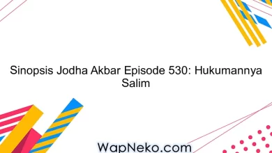 Sinopsis Jodha Akbar Episode 530: Hukumannya Salim